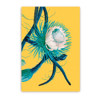 Cereus Flower | Postcard